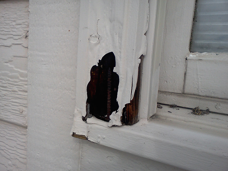 Avoiding Dry Rot Peak Pro Painting