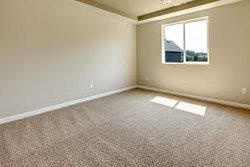 How To Remove Paint From Carpet